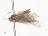 ( - CBG-A41843-E12)  @11 [ ] CreativeCommons - Attribution Share - Alike (2024) CBG Photography Group Centre for Biodiversity Genomics