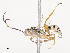  ( - CBG-A41844-A09)  @11 [ ] CreativeCommons - Attribution Share - Alike (2024) CBG Photography Group Centre for Biodiversity Genomics