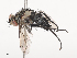  ( - CBG-A41844-C06)  @11 [ ] CreativeCommons - Attribution Share - Alike (2024) CBG Photography Group Centre for Biodiversity Genomics