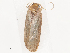  ( - CBG-A41844-E09)  @11 [ ] CreativeCommons - Attribution Share - Alike (2024) CBG Photography Group Centre for Biodiversity Genomics