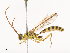  ( - CBG-A41845-G10)  @11 [ ] CreativeCommons - Attribution Share - Alike (2024) CBG Photography Group Centre for Biodiversity Genomics