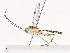 ( - CBG-A41845-H05)  @11 [ ] CreativeCommons - Attribution Share - Alike (2024) CBG Photography Group Centre for Biodiversity Genomics