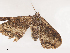  ( - CBG-A40214-F12)  @11 [ ] CreativeCommons - Attribution Share - Alike (2024) CBG Photography Group Centre for Biodiversity Genomics