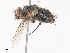  ( - CBG-A41812-D12)  @11 [ ] CreativeCommons - Attribution Share - Alike (2024) CBG Photography Group Centre for Biodiversity Genomics