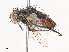  ( - CBG-A41812-E01)  @11 [ ] CreativeCommons - Attribution Share - Alike (2024) CBG Photography Group Centre for Biodiversity Genomics