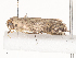  ( - CBG-A41813-E09)  @11 [ ] CreativeCommons - Attribution Share - Alike (2024) CBG Photography Group Centre for Biodiversity Genomics