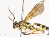  ( - CBG-A41815-E04)  @11 [ ] CreativeCommons - Attribution Share - Alike (2024) CBG Photography Group Centre for Biodiversity Genomics
