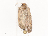  ( - CBG-A41815-G11)  @11 [ ] CreativeCommons - Attribution Share - Alike (2024) CBG Photography Group Centre for Biodiversity Genomics