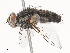  ( - CBG-A41816-F02)  @11 [ ] CreativeCommons - Attribution Share - Alike (2024) CBG Photography Group Centre for Biodiversity Genomics