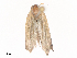  ( - CBG-A44306-H07)  @11 [ ] CreativeCommons - Attribution Share - Alike (2024) CBG Photography Group Centre for Biodiversity Genomics