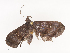  ( - CBG-A41824-D01)  @11 [ ] CreativeCommons - Attribution Share - Alike (2024) CBG Photography Group Centre for Biodiversity Genomics