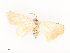  ( - CBG-A41824-F09)  @11 [ ] CreativeCommons - Attribution Share - Alike (2024) CBG Photography Group Centre for Biodiversity Genomics