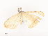  ( - CBG-A41824-F10)  @11 [ ] CreativeCommons - Attribution Share - Alike (2024) CBG Photography Group Centre for Biodiversity Genomics