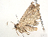  ( - CBG-A41847-H09)  @11 [ ] CreativeCommons - Attribution (2024) CBG Photography Group Centre for Biodiversity Genomics