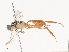  ( - CBG-A44353-E02)  @11 [ ] CreativeCommons - Attribution Share - Alike (2024) CBG Photography Group Centre for Biodiversity Genomics