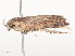  ( - CBG-A44309-G02)  @11 [ ] CreativeCommons - Attribution Share - Alike (2024) CBG Photography Group Centre for Biodiversity Genomics