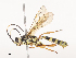  ( - CBG-A44377-F07)  @11 [ ] CreativeCommons - Attribution Share - Alike (2024) CBG Photography Group Centre for Biodiversity Genomics