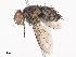  ( - CBG-A41782-F11)  @11 [ ] CreativeCommons - Attribution Share - Alike (2024) CBG Photography Group Centre for Biodiversity Genomics