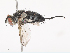  ( - CBG-A41782-F12)  @11 [ ] CreativeCommons - Attribution Share - Alike (2024) CBG Photography Group Centre for Biodiversity Genomics