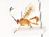  ( - CBG-A40216-E04)  @11 [ ] CreativeCommons - Attribution Share - Alike (2024) CBG Photography Group Centre for Biodiversity Genomics
