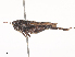  ( - CBG-A40216-G04)  @11 [ ] CreativeCommons - Attribution Share - Alike (2024) CBG Photography Group Centre for Biodiversity Genomics