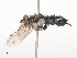  ( - CBG-A44308-F07)  @11 [ ] CreativeCommons - Attribution Share - Alike (2024) CBG Photography Group Centre for Biodiversity Genomics