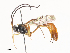  ( - CBG-A44389-E07)  @11 [ ] CreativeCommons - Attribution Share - Alike (2024) CBG Photography Group Centre for Biodiversity Genomics