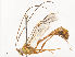  ( - CBG-A44392-H05)  @11 [ ] CreativeCommons - Attribution Share - Alike (2024) CBG Photography Group Centre for Biodiversity Genomics