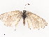  ( - CBG-A44410-F07)  @11 [ ] CreativeCommons - Attribution Share - Alike (2024) CBG Photography Group Centre for Biodiversity Genomics