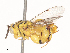  ( - CBG-A45266-F06)  @11 [ ] CreativeCommons - Attribution Share - Alike (2024) CBG Photography Group Centre for Biodiversity Genomics