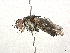  ( - CBG-A45266-H09)  @11 [ ] CreativeCommons - Attribution (2024) CBG Photography Group Centre for Biodiversity Genomics