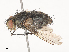  ( - CBG-A45267-G06)  @11 [ ] CreativeCommons - Attribution Share - Alike (2024) CBG Photography Group Centre for Biodiversity Genomics