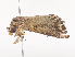  ( - CBG-A45268-B01)  @11 [ ] CreativeCommons - Attribution Share - Alike (2024) CBG Photography Group Centre for Biodiversity Genomics