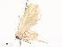  ( - CBG-A45268-B05)  @11 [ ] CreativeCommons - Attribution Share - Alike (2024) CBG Photography Group Centre for Biodiversity Genomics