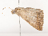  ( - CBG-A45269-D12)  @11 [ ] CreativeCommons - Attribution Share - Alike (2024) CBG Photography Group Centre for Biodiversity Genomics