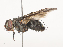 ( - CBG-A45269-F09)  @11 [ ] CreativeCommons - Attribution Share - Alike (2024) CBG Photography Group Centre for Biodiversity Genomics