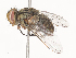  ( - CBG-A46879-D09)  @11 [ ] CreativeCommons - Attribution Share - Alike (2024) CBG Photography Group Centre for Biodiversity Genomics