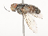  ( - CBG-A46879-E08)  @11 [ ] CreativeCommons - Attribution Share - Alike (2024) CBG Photography Group Centre for Biodiversity Genomics