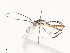  ( - CBG-A44353-F01)  @11 [ ] CreativeCommons - Attribution Share - Alike (2024) CBG Photography Group Centre for Biodiversity Genomics