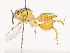  ( - CBG-A44354-B11)  @11 [ ] CreativeCommons - Attribution Share - Alike (2024) CBG Photography Group Centre for Biodiversity Genomics