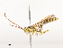  ( - CBG-A44354-D02)  @11 [ ] CreativeCommons - Attribution Share - Alike (2024) CBG Photography Group Centre for Biodiversity Genomics