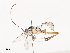  ( - CBG-A44354-E03)  @11 [ ] CreativeCommons - Attribution Share - Alike (2024) CBG Photography Group Centre for Biodiversity Genomics
