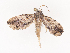  ( - CBG-A44356-A12)  @11 [ ] CreativeCommons - Attribution Share - Alike (2024) CBG Photography Group Centre for Biodiversity Genomics