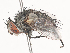  ( - CBG-A44356-D01)  @11 [ ] CreativeCommons - Attribution Share - Alike (2024) CBG Photography Group Centre for Biodiversity Genomics