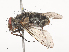  ( - CBG-A44358-C11)  @11 [ ] CreativeCommons - Attribution Share - Alike (2024) CBG Photography Group Centre for Biodiversity Genomics