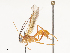  ( - CBG-A44359-G01)  @11 [ ] CreativeCommons - Attribution Share - Alike (2024) CBG Photography Group Centre for Biodiversity Genomics
