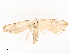  ( - CBG-A44360-B09)  @11 [ ] CreativeCommons - Attribution Share - Alike (2024) CBG Photography Group Centre for Biodiversity Genomics