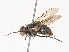  ( - CBG-A46877-C07)  @11 [ ] CreativeCommons - Attribution Share - Alike (2024) CBG Photography Group Centre for Biodiversity Genomics