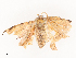 ( - CBG-A46877-D11)  @11 [ ] CreativeCommons - Attribution Share - Alike (2024) CBG Photography Group Centre for Biodiversity Genomics