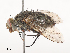  ( - CBG-A46880-B12)  @11 [ ] CreativeCommons - Attribution Share - Alike (2024) CBG Photography Group Centre for Biodiversity Genomics